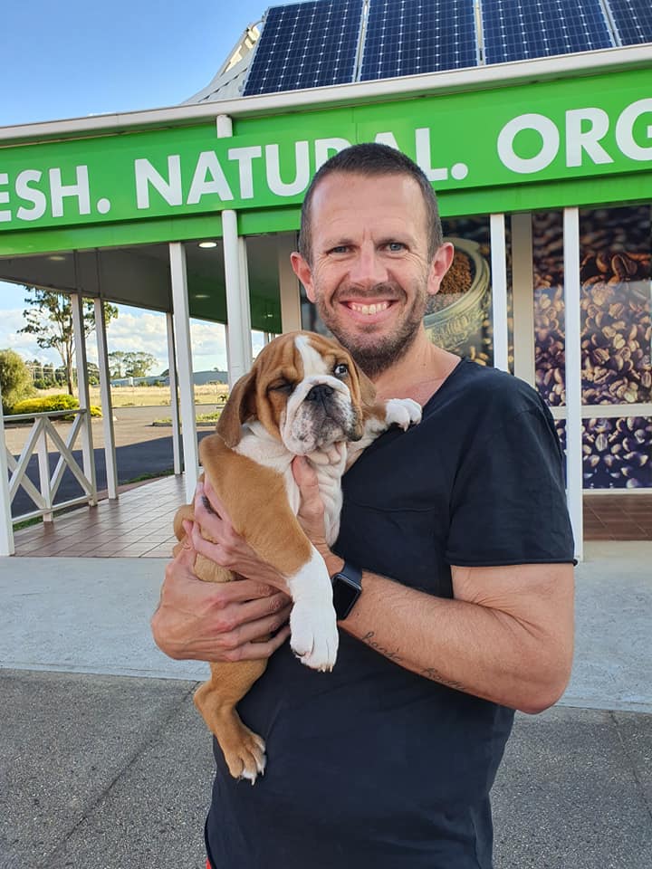 Domestic Pet Transport in Australia Pet Waggin