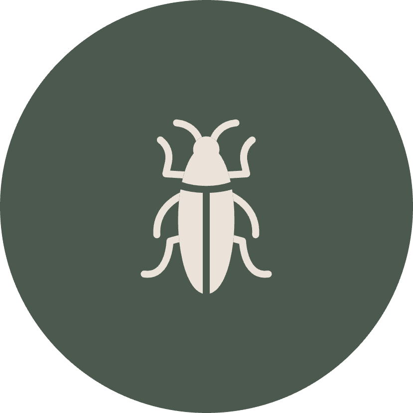 PhoenixArea Pest Control Services CAPE Pest Control