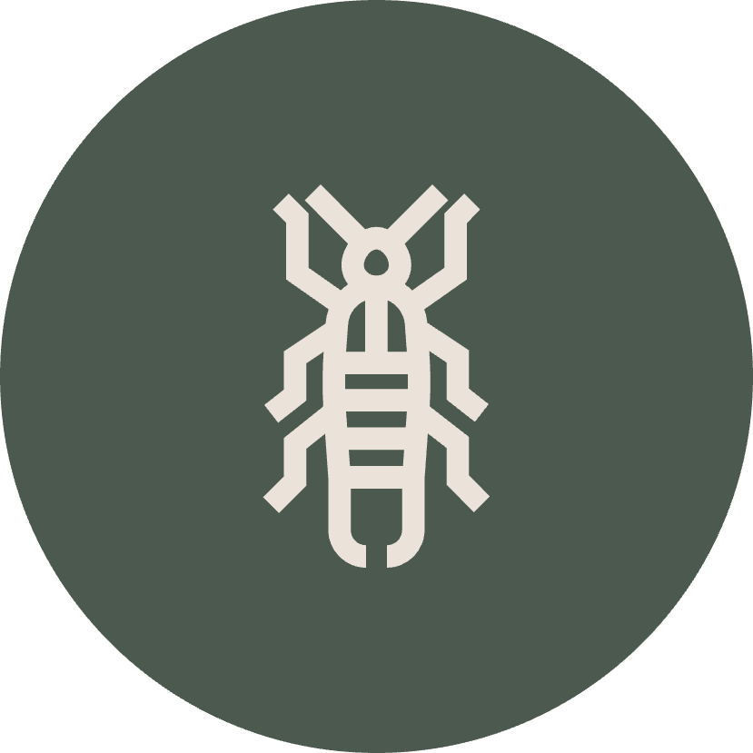 PhoenixArea Pest Control Services CAPE Pest Control