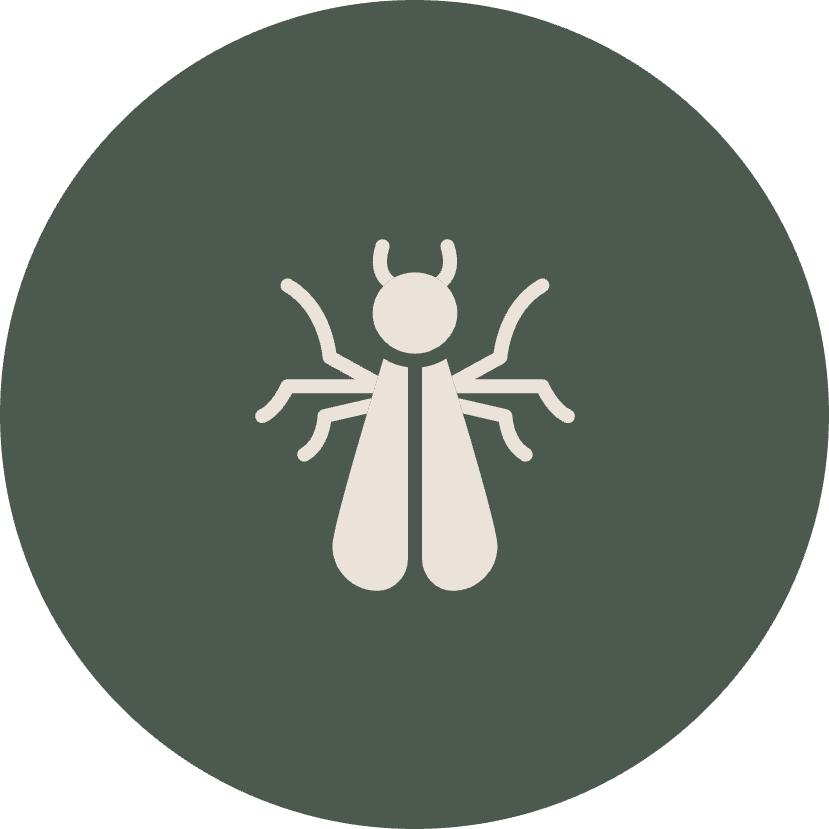 PhoenixArea Pest Control Services CAPE Pest Control