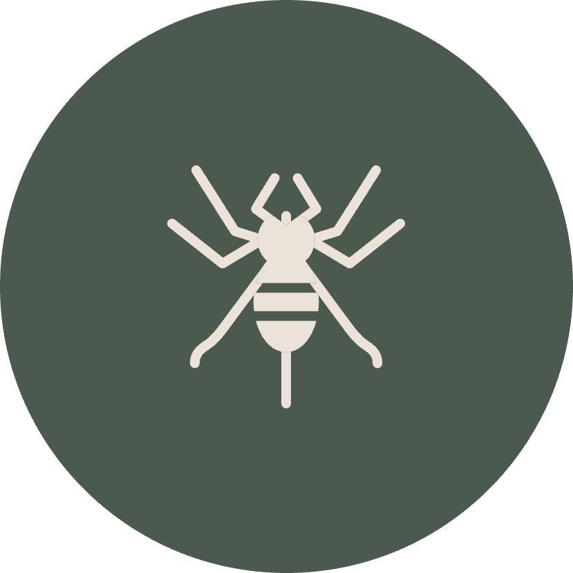 PhoenixArea Pest Control Services CAPE Pest Control