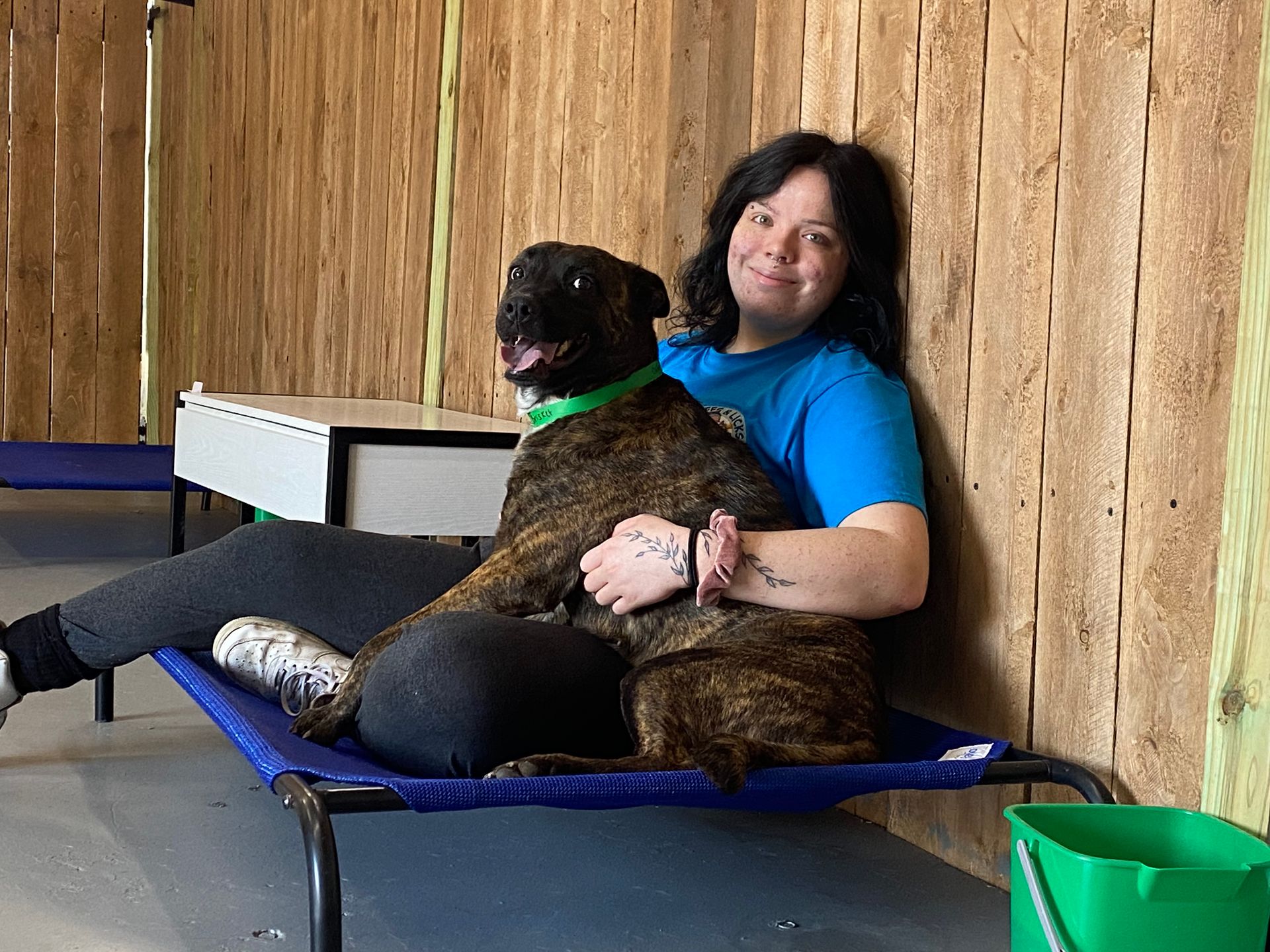 Our Why Dog Day Care, Kennels, Boarding & Grooming Euless, TX