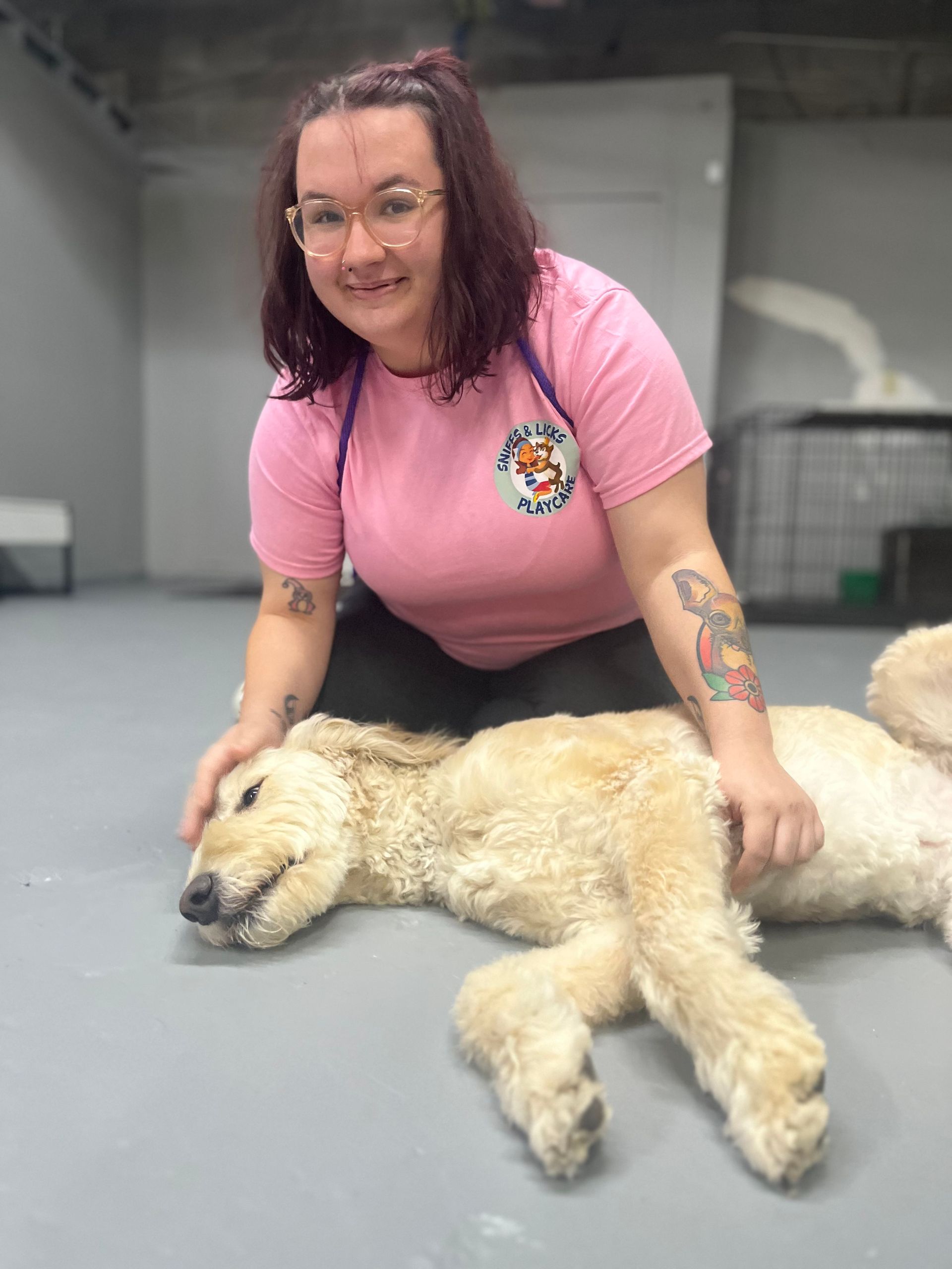 Our Why Dog Day Care, Kennels, Boarding & Grooming Euless, TX