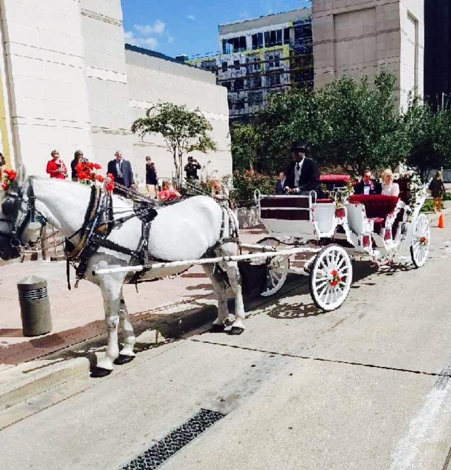 Horse Carriage Rides Houston, TX Vintage Carriage Co.