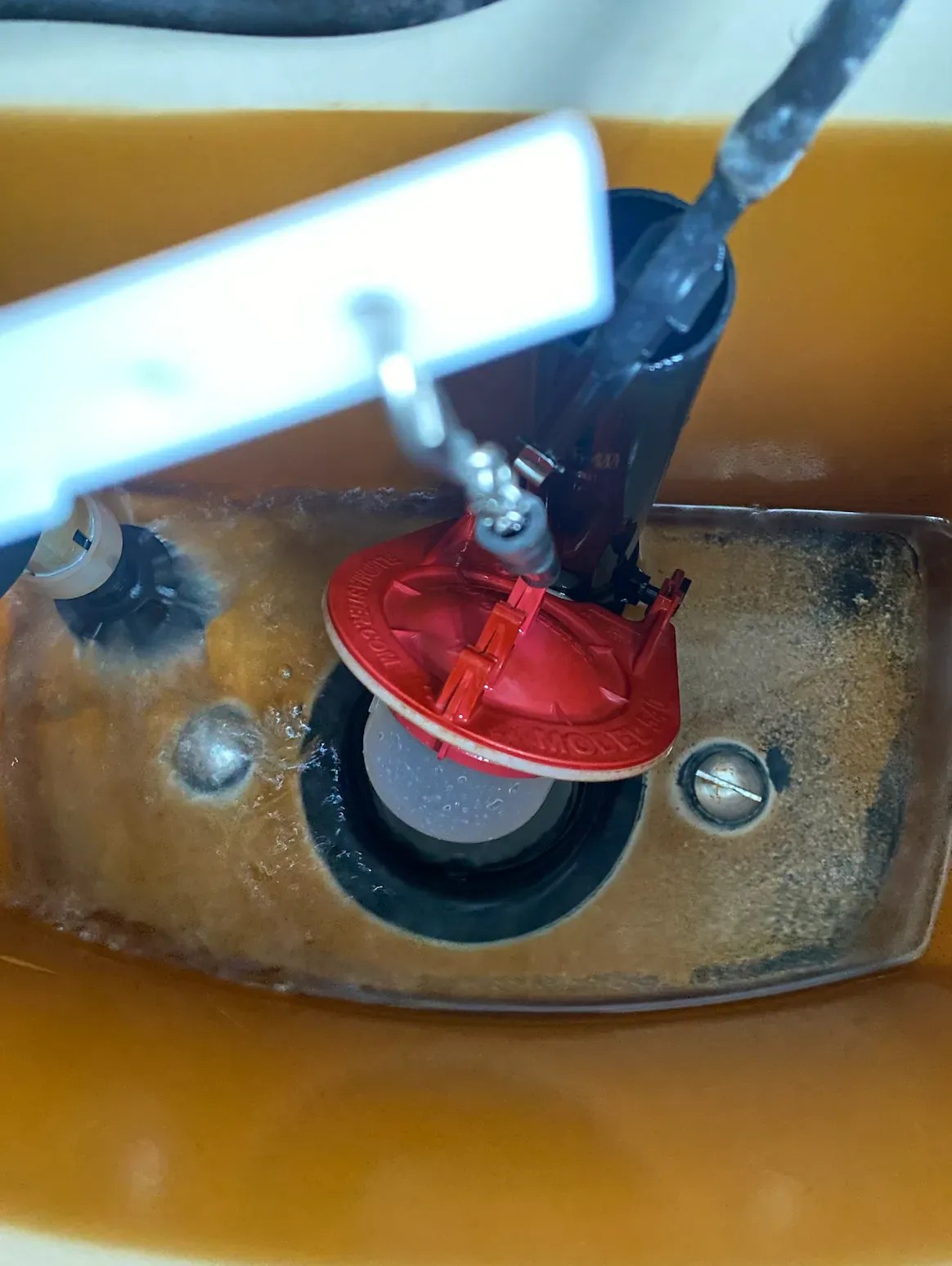 OUR 5STEP TOILET LEAK DETECTION GUIDE