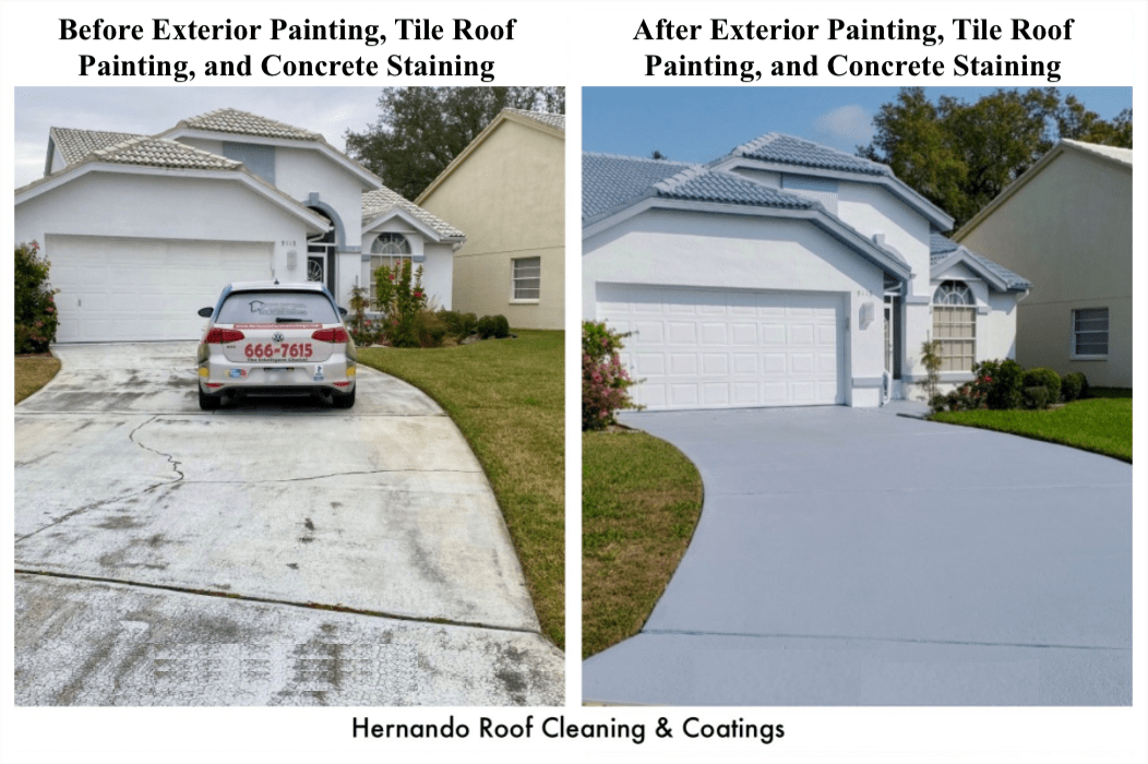 Paint and Roof Cleaning Spring Hill, FL Hernando Roof Cleaning