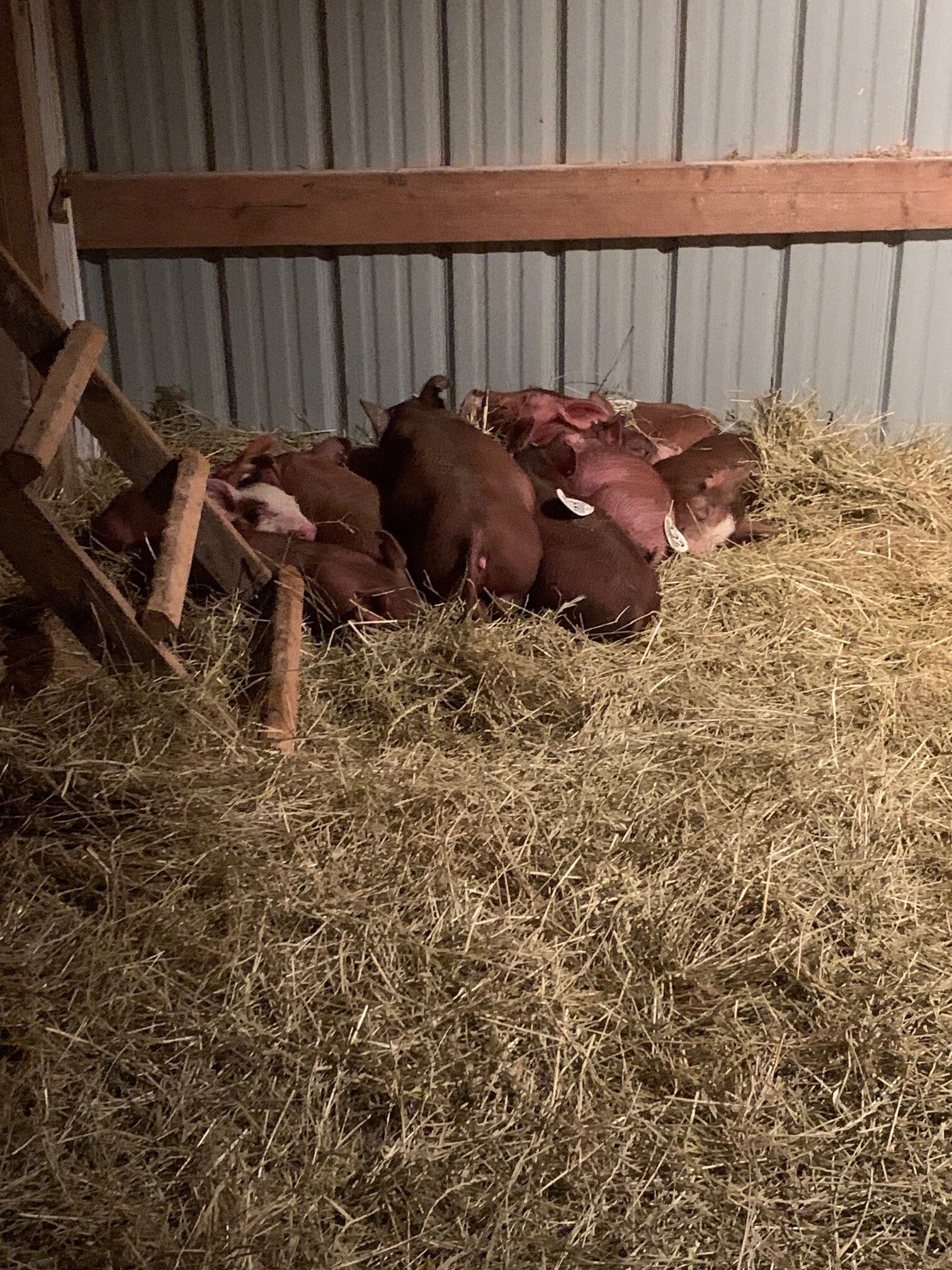 Gallery Swayzee, IN Double Deuce Produce