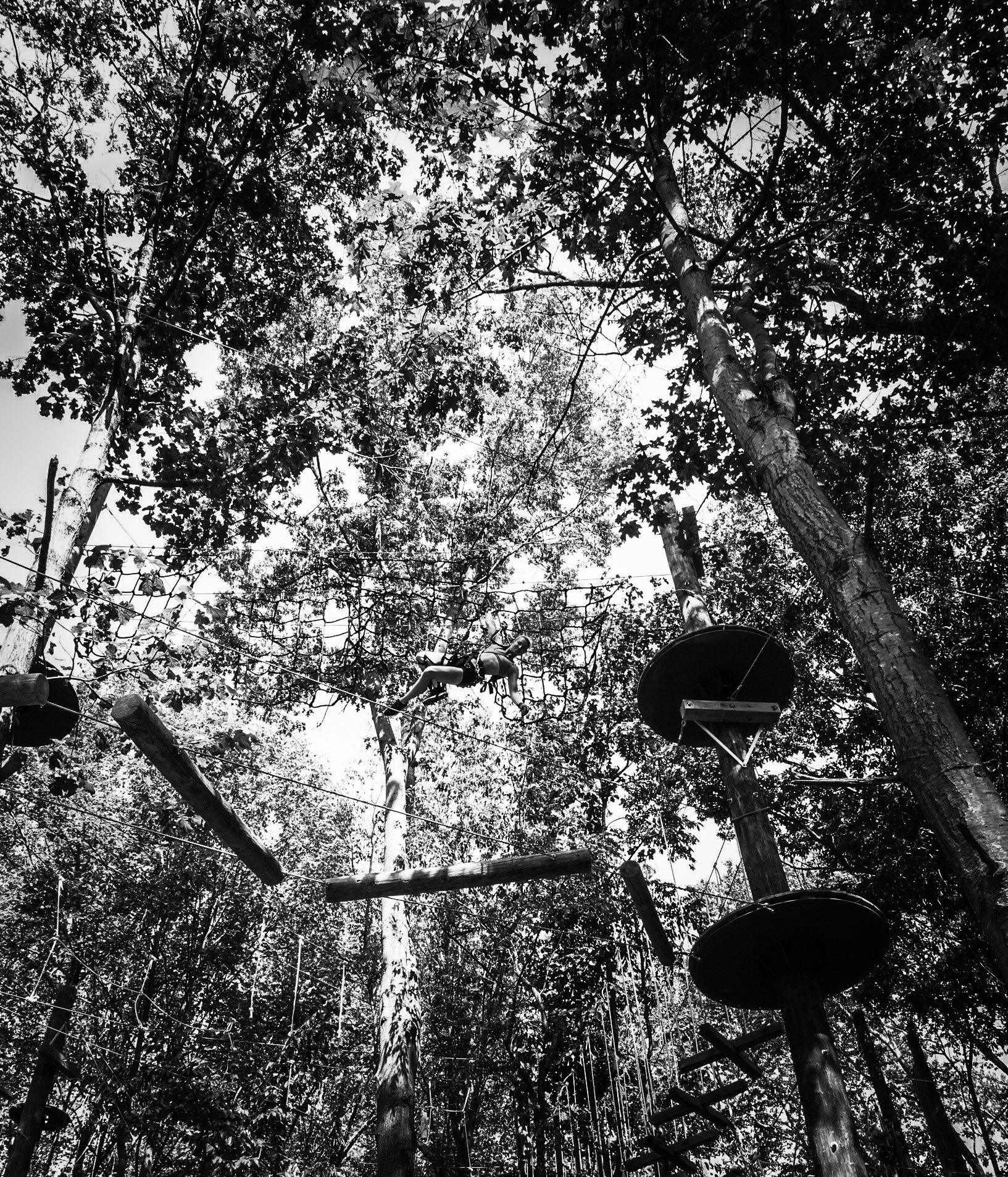 Tree Trekkers Frederick LLC