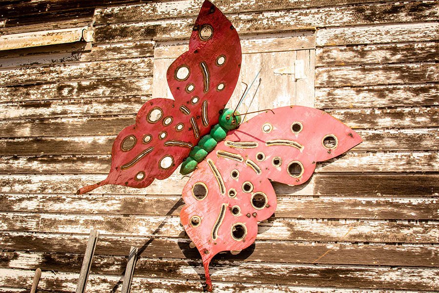 Photo Gallery Hidden Treasures Greenhouse Rugby ND