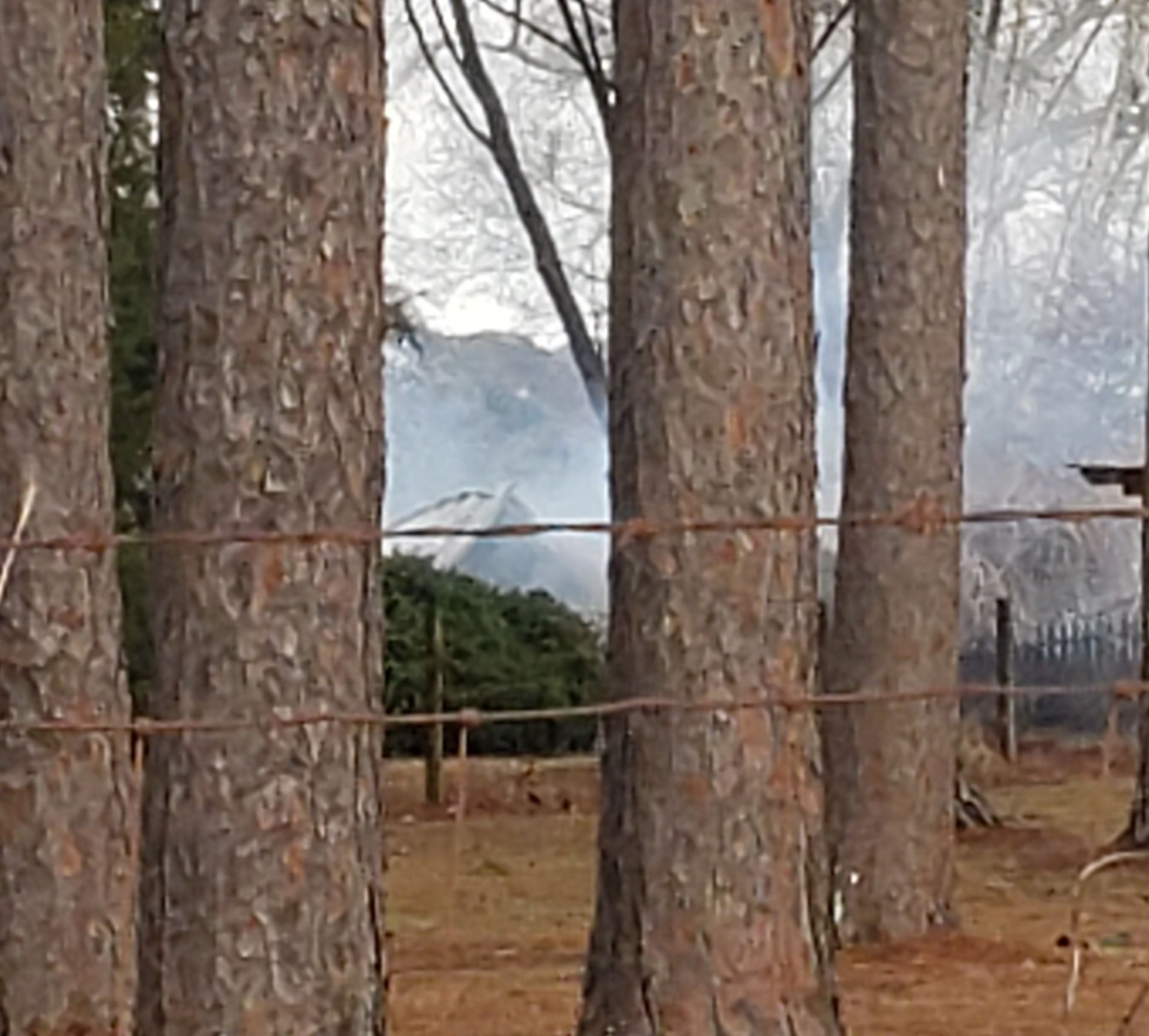 Structure Fire on Golding Road Completely Lost