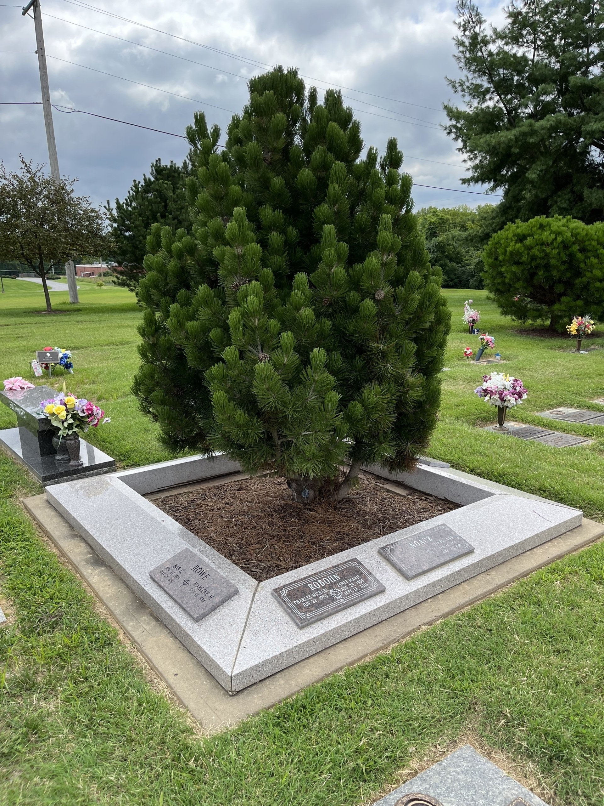 Cremation Options St Charles Memorial Gardens