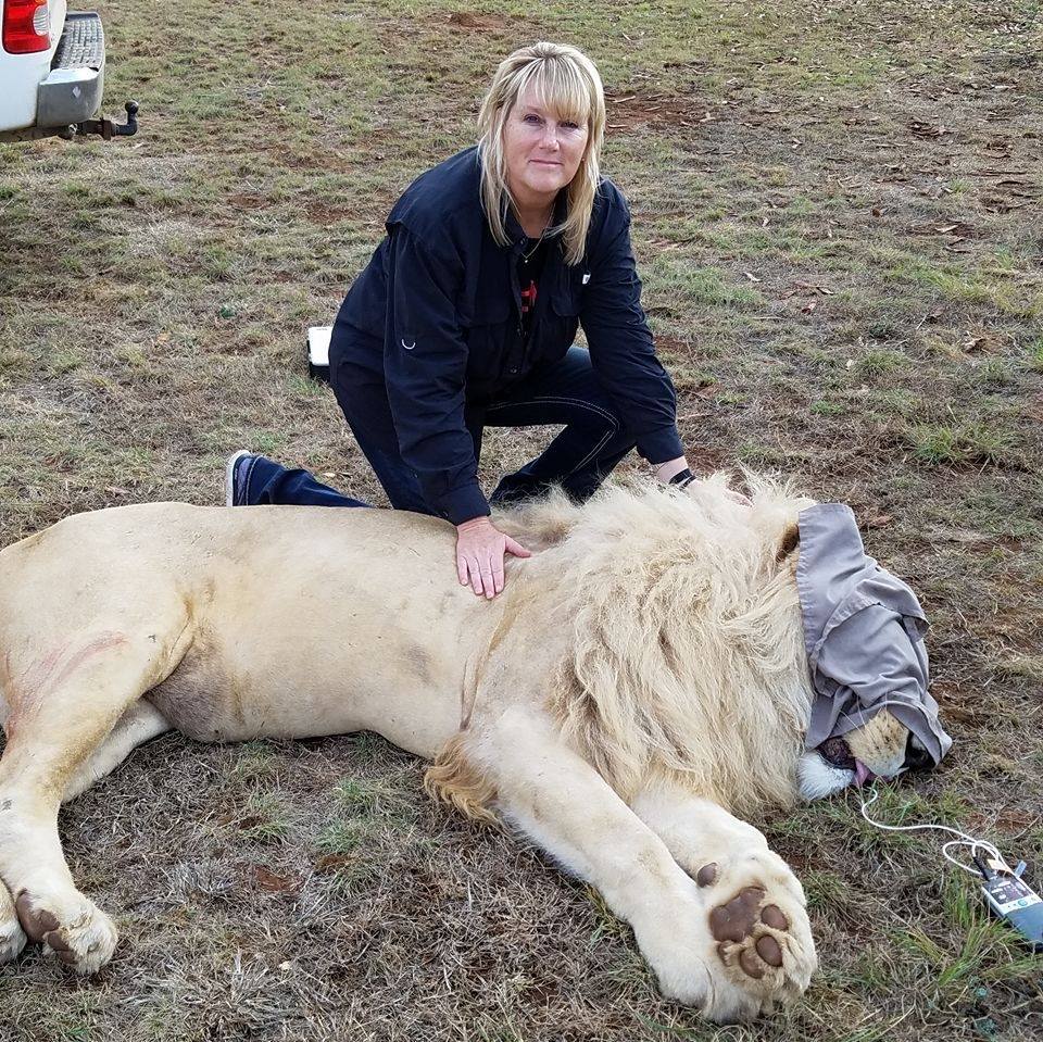 Willow Creek Ranch of Tomball Dog Boarding Serving the Spring