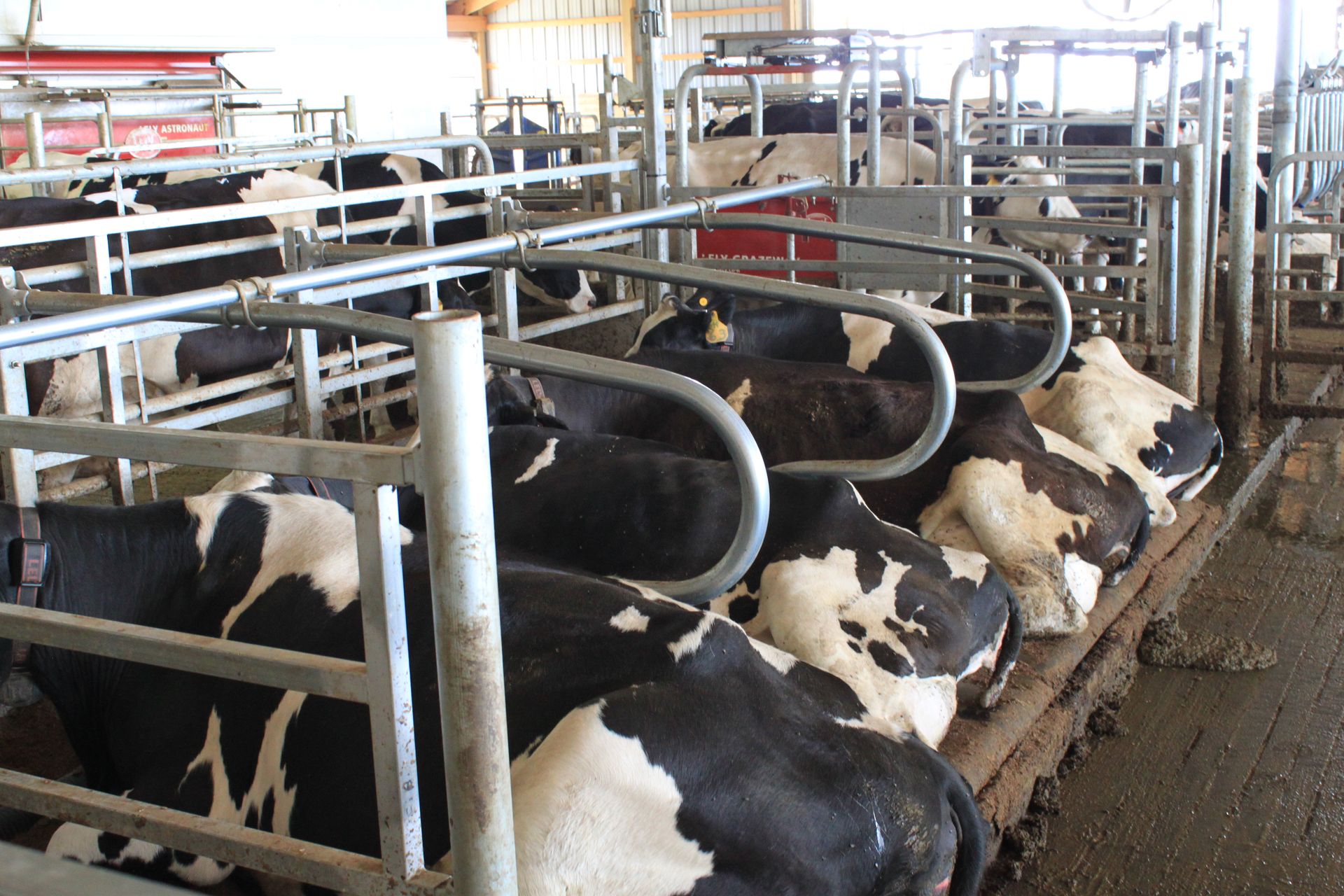 Farm Supply Harrisonburg, VA C&C