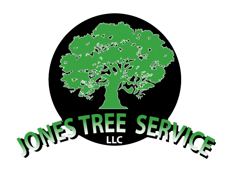 Jones Tree Service, LLC Top Rated Tree Service Jamestown, Indiana