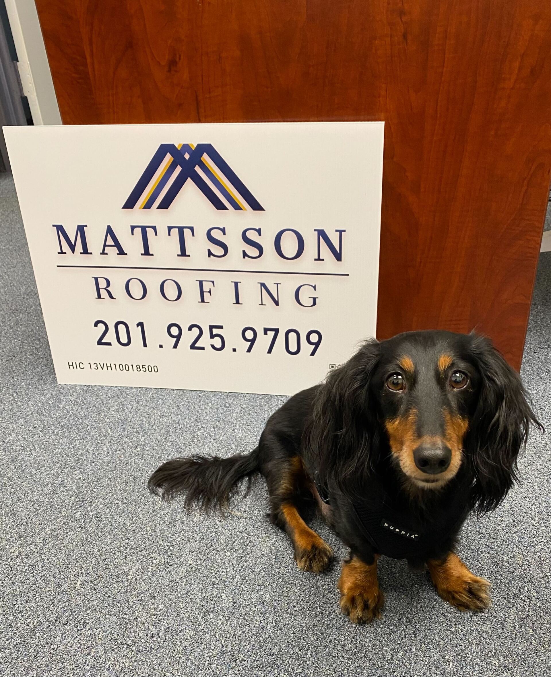 Past roofing projects by Mattsson Roofing, Bergen County