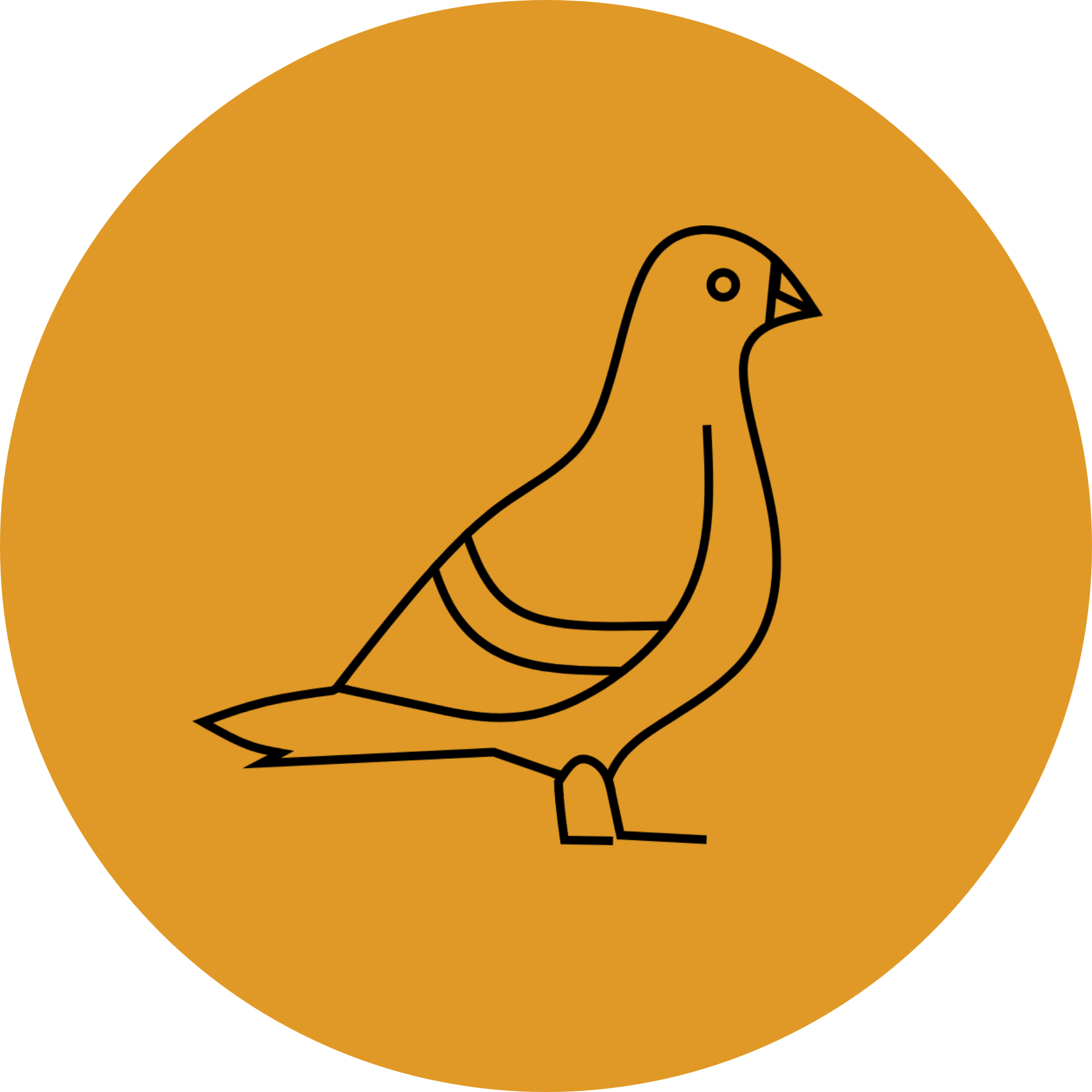 Pest Control Vermin Control Yorkshire Dales Pest Control