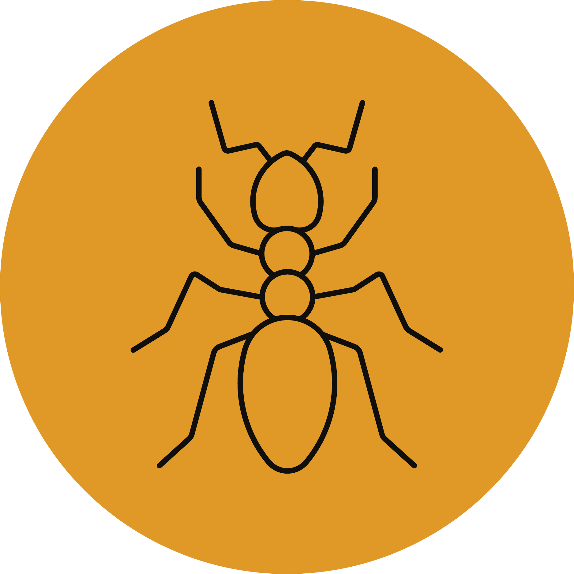 Pest Control Vermin Control Yorkshire Dales Pest Control