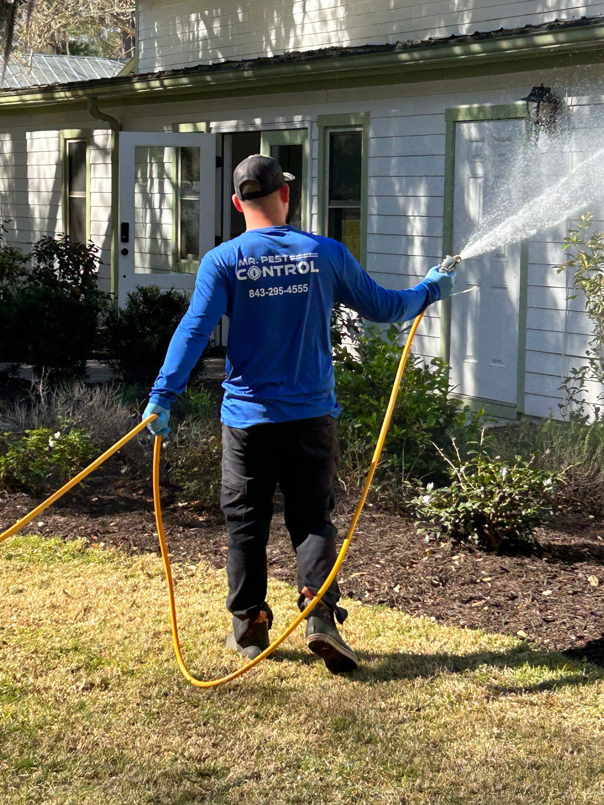 Pest Control and Exterminator Services Bluffton, SC Mr. Pest Control