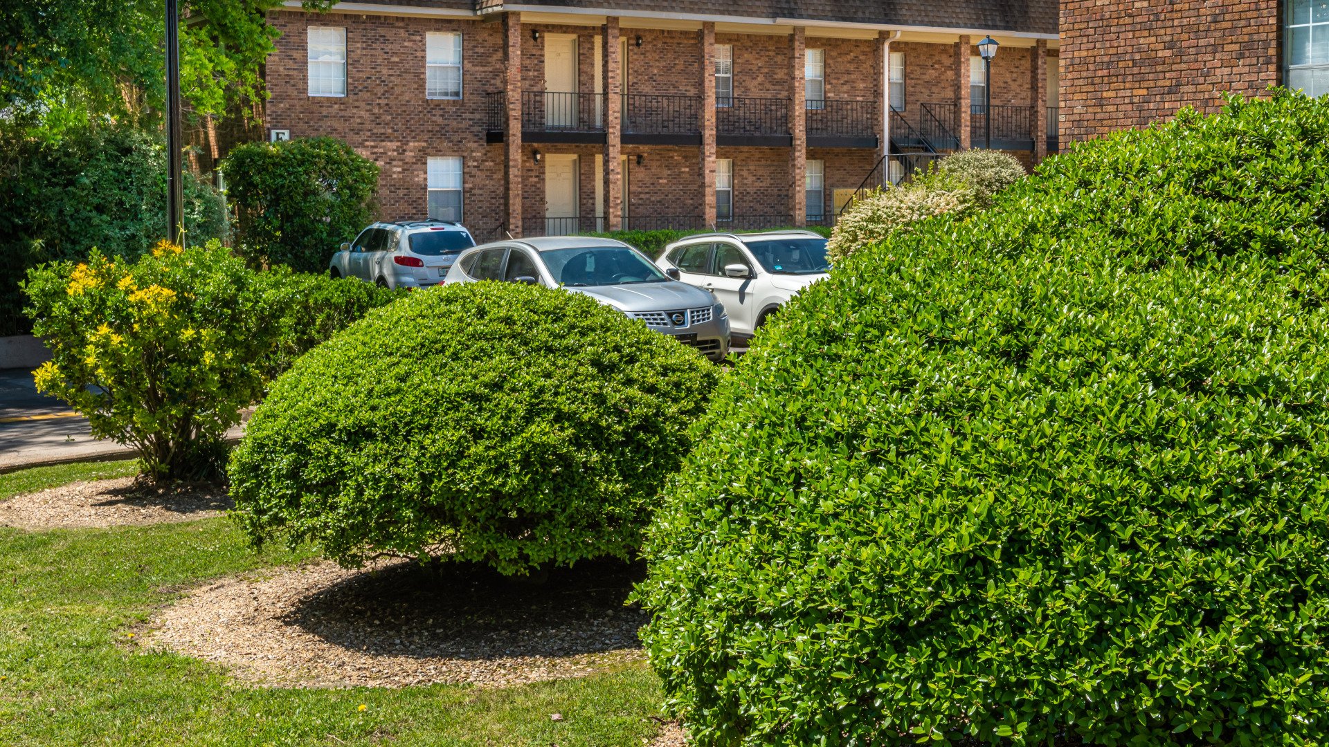 Hardy Manor Apartment Homes Apartments For Rent in Hattiesburg, MS