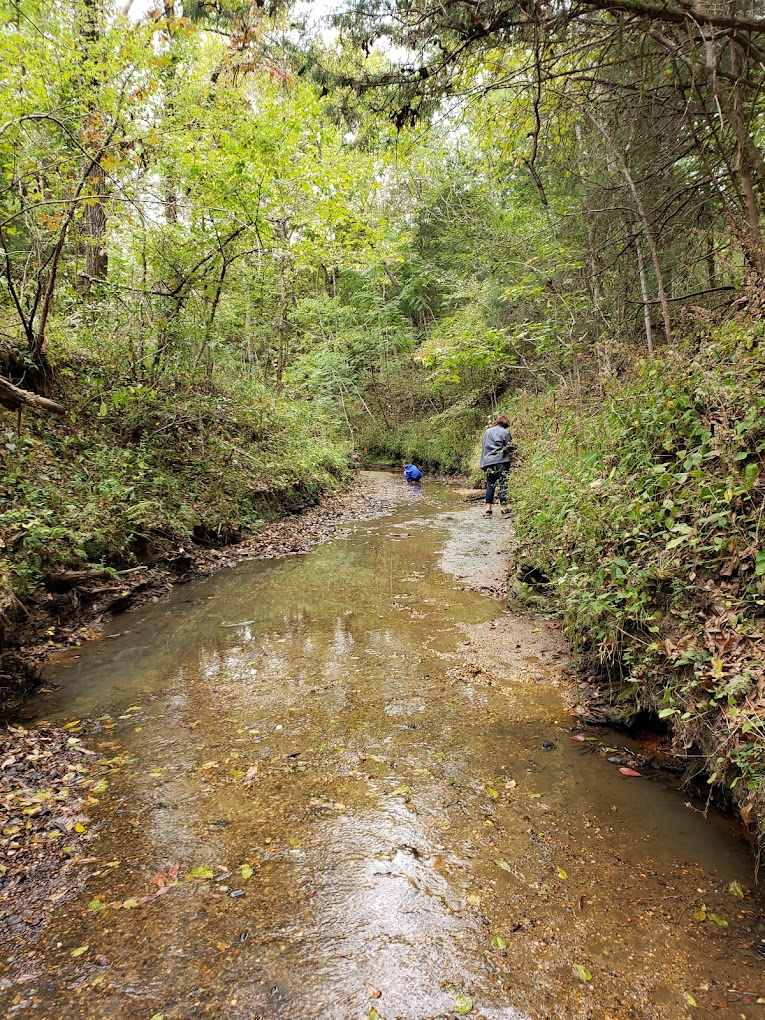 Shark Tooth Creek Aliceville, AL 2053732605