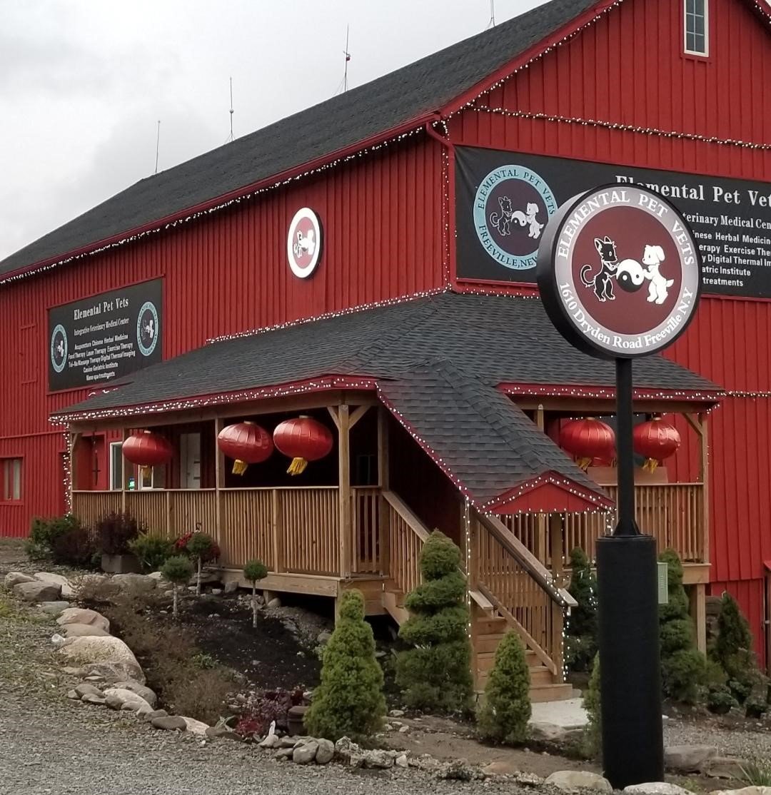 Veterinary Practice Near Lansing, NY