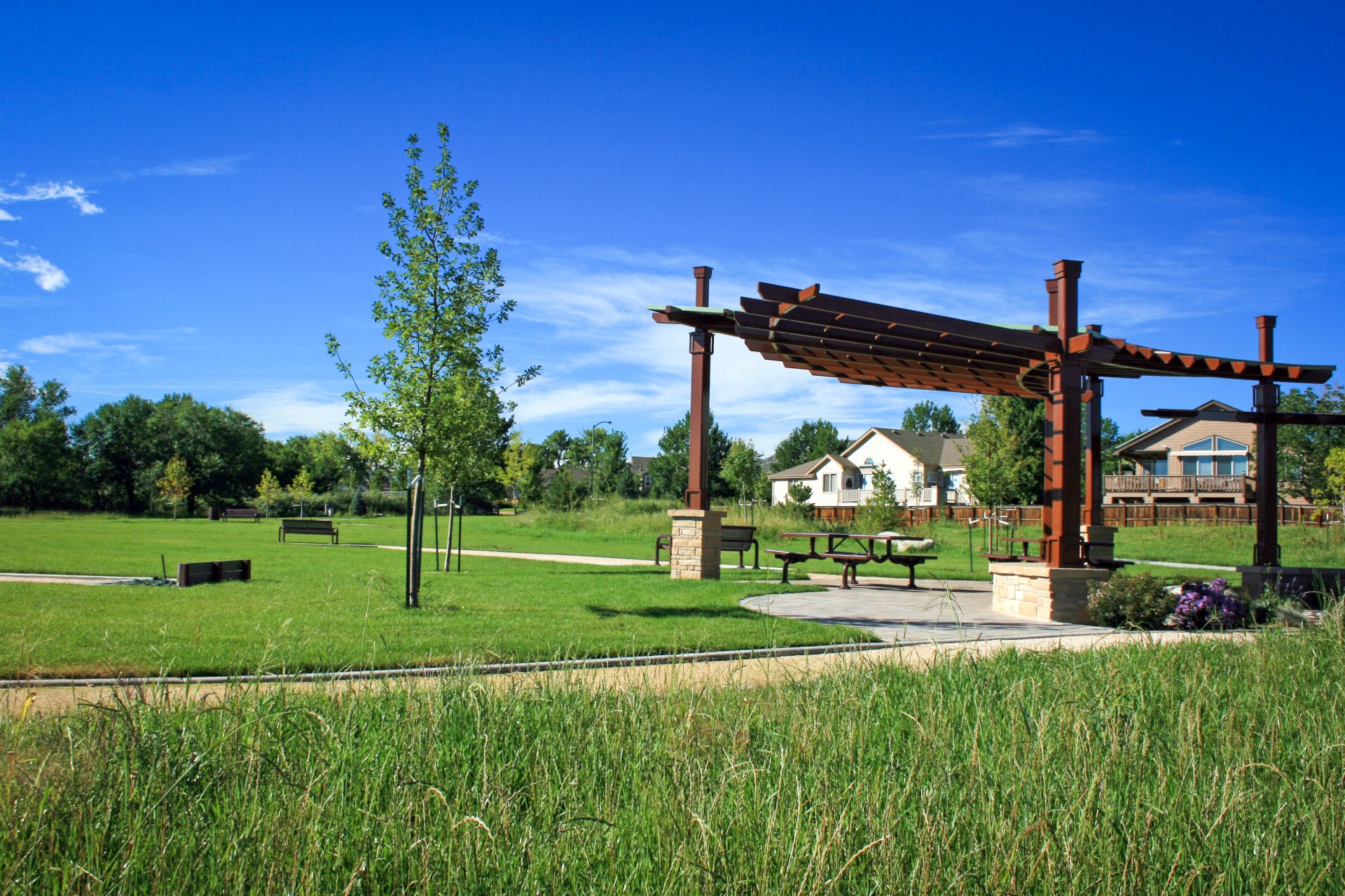 Forest Springs Park