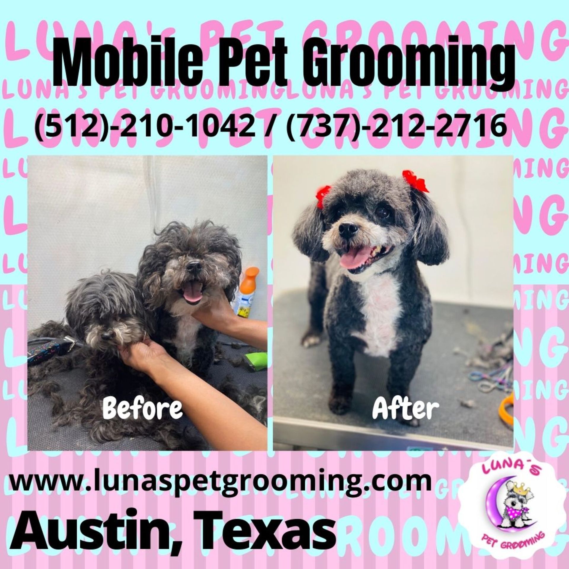 Home Luna's Pet Grooming Austin, TX