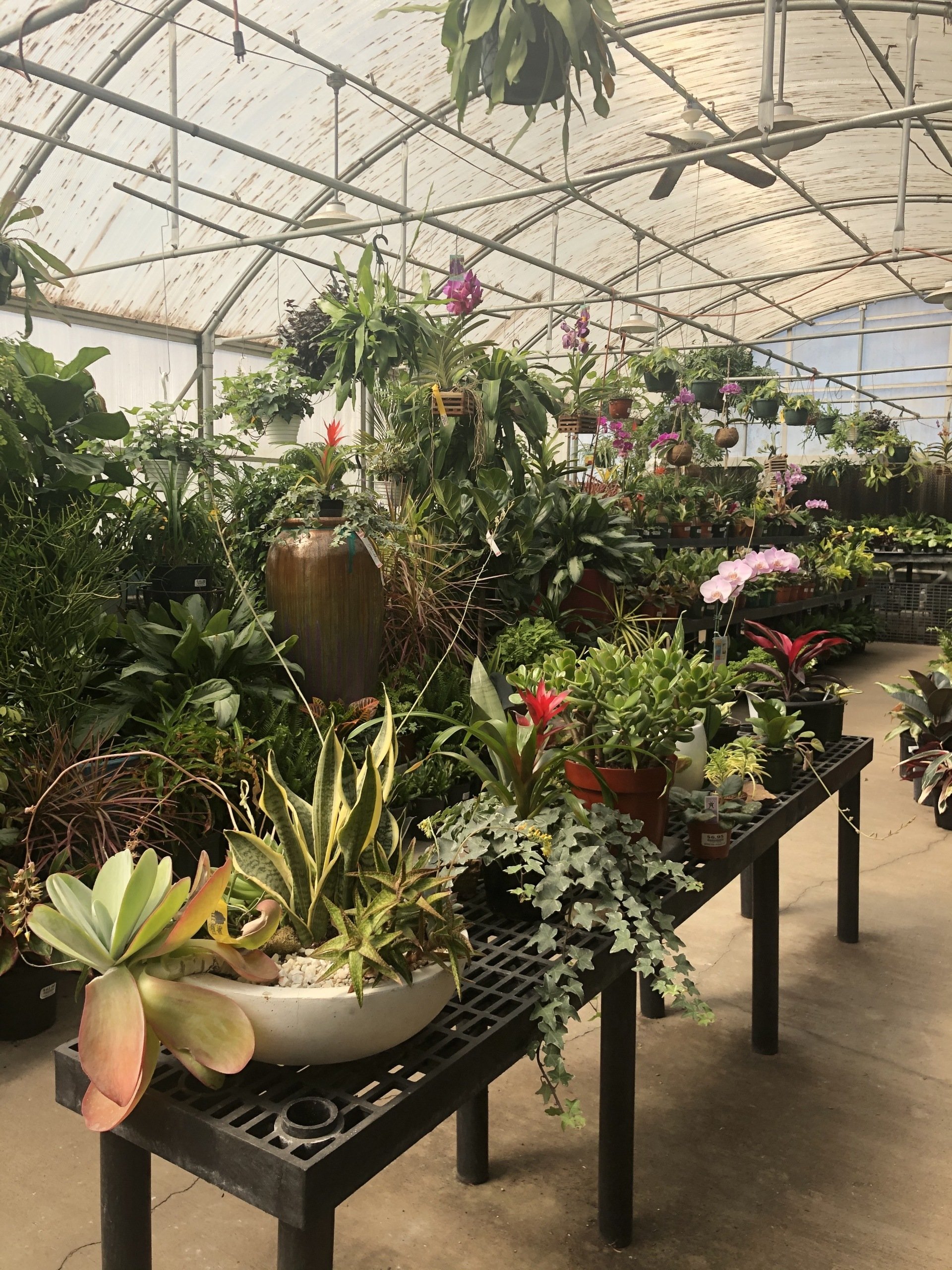 Landscape Design Springfield, IL Pleasant Nursery Inc