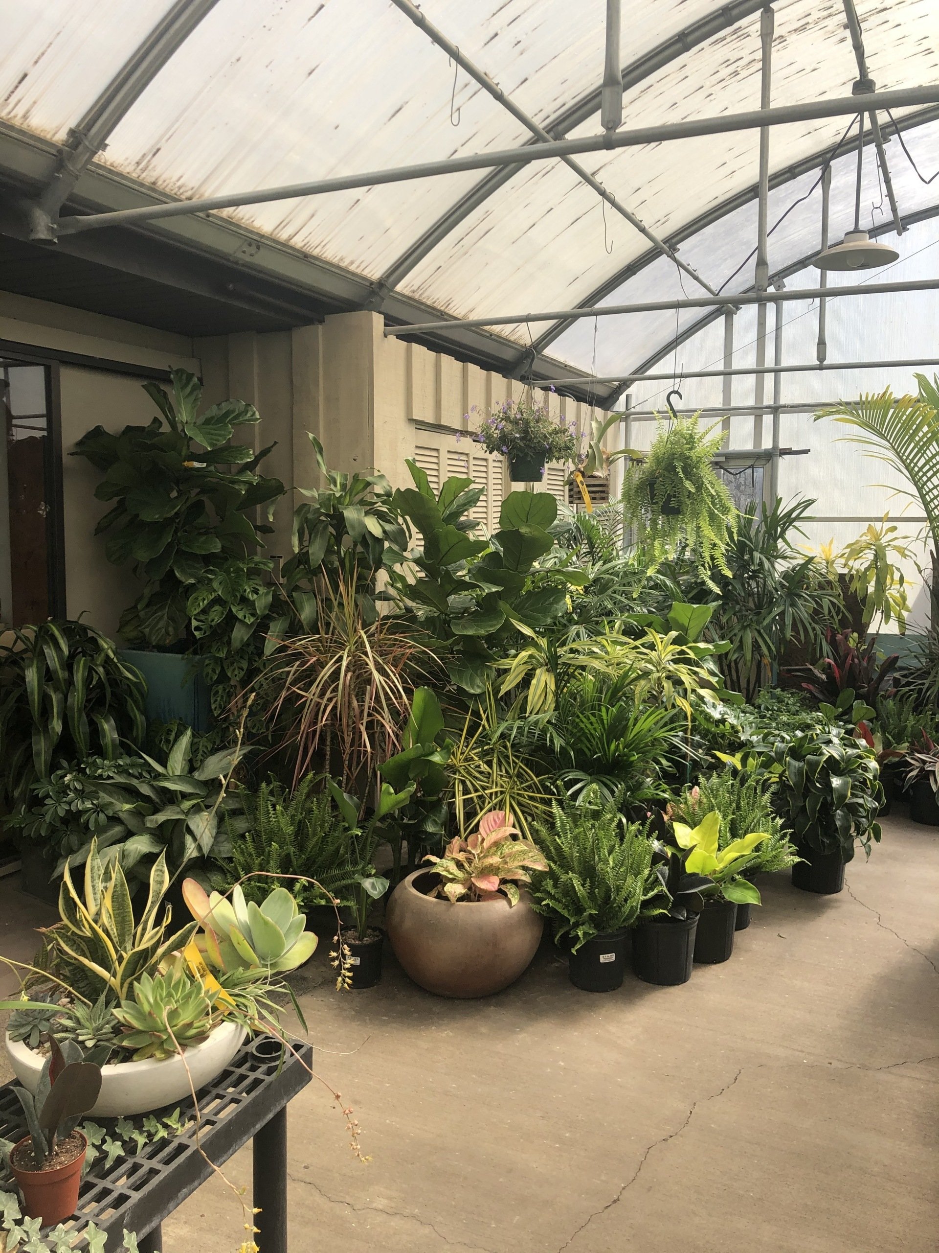 Landscape Design Springfield, IL Pleasant Nursery Inc
