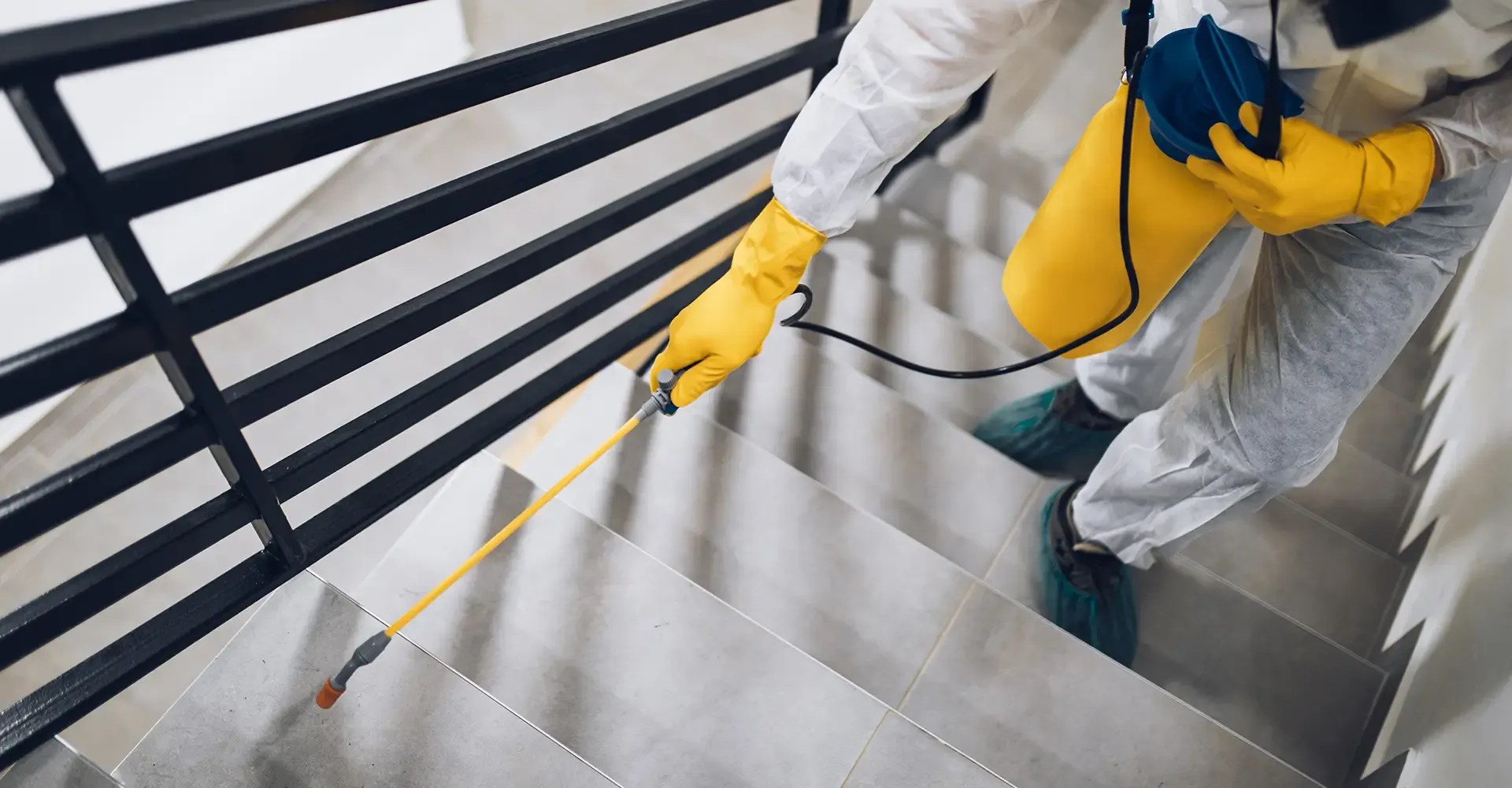 Pest Control Tallahassee Tallahassee Pest Control Pest Library