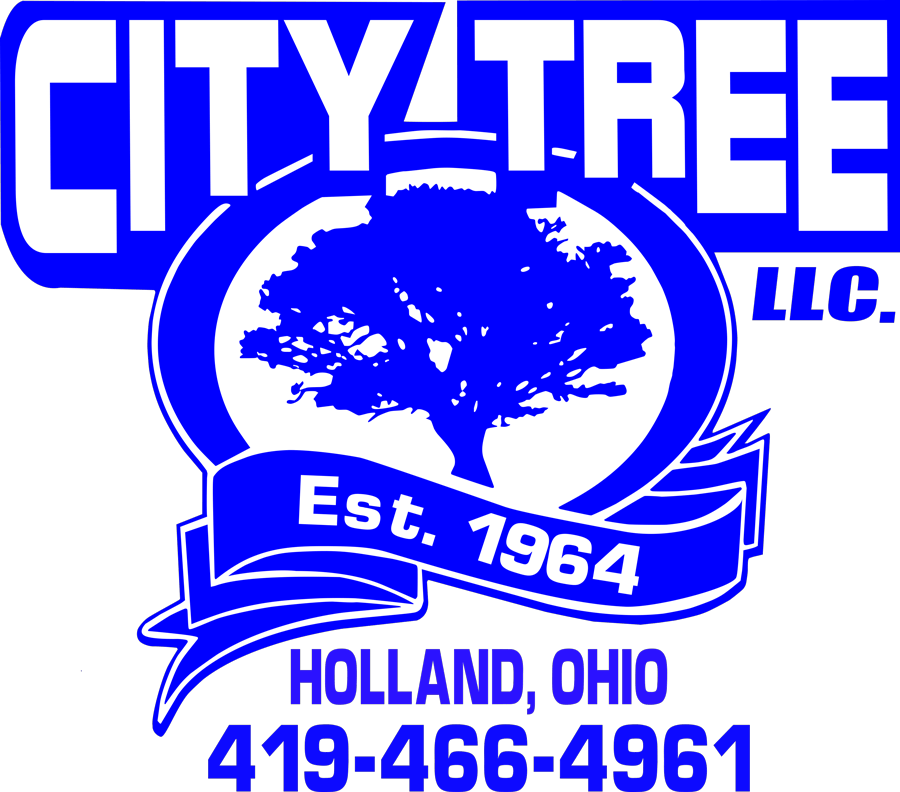 Local Tree Care Holland, OH City Tree Service