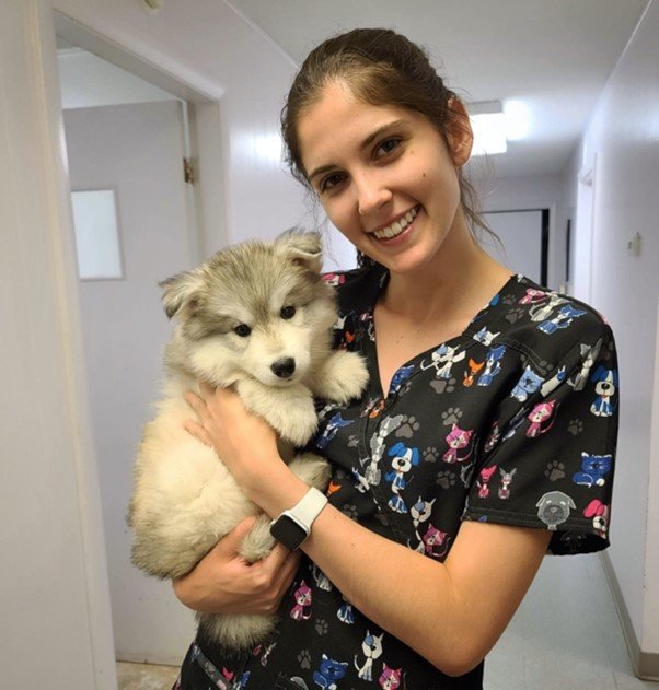 Newport Veterinary Hospital