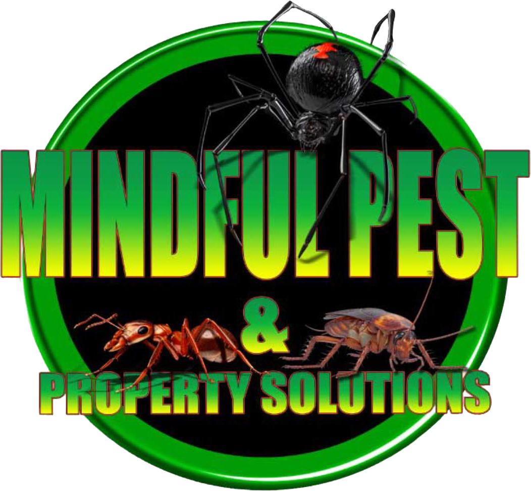 Wildlife Removal Pest Control Myrtle Beach, SC