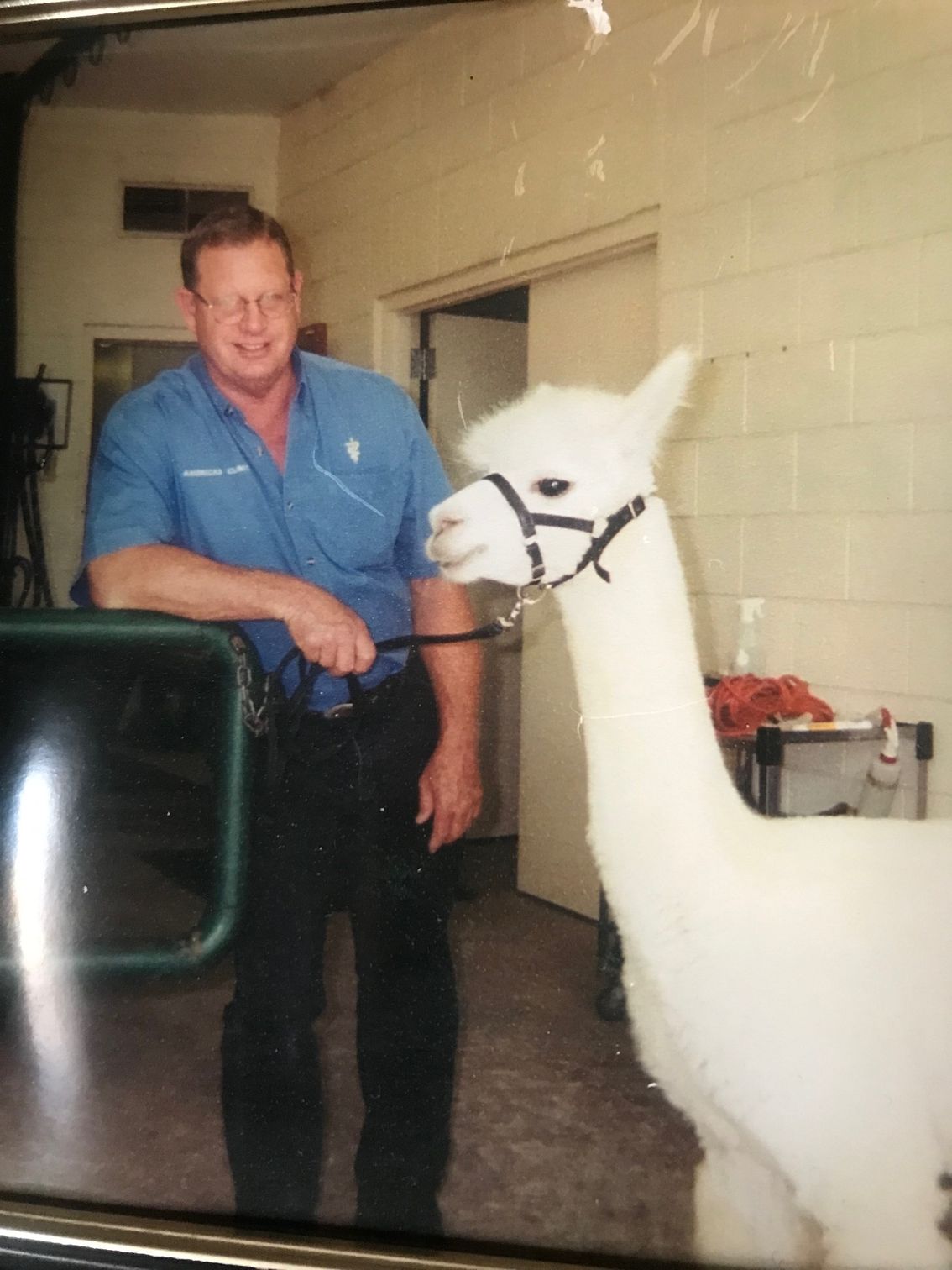 Veterinarian El Paso, TX America’s Animal Clinic