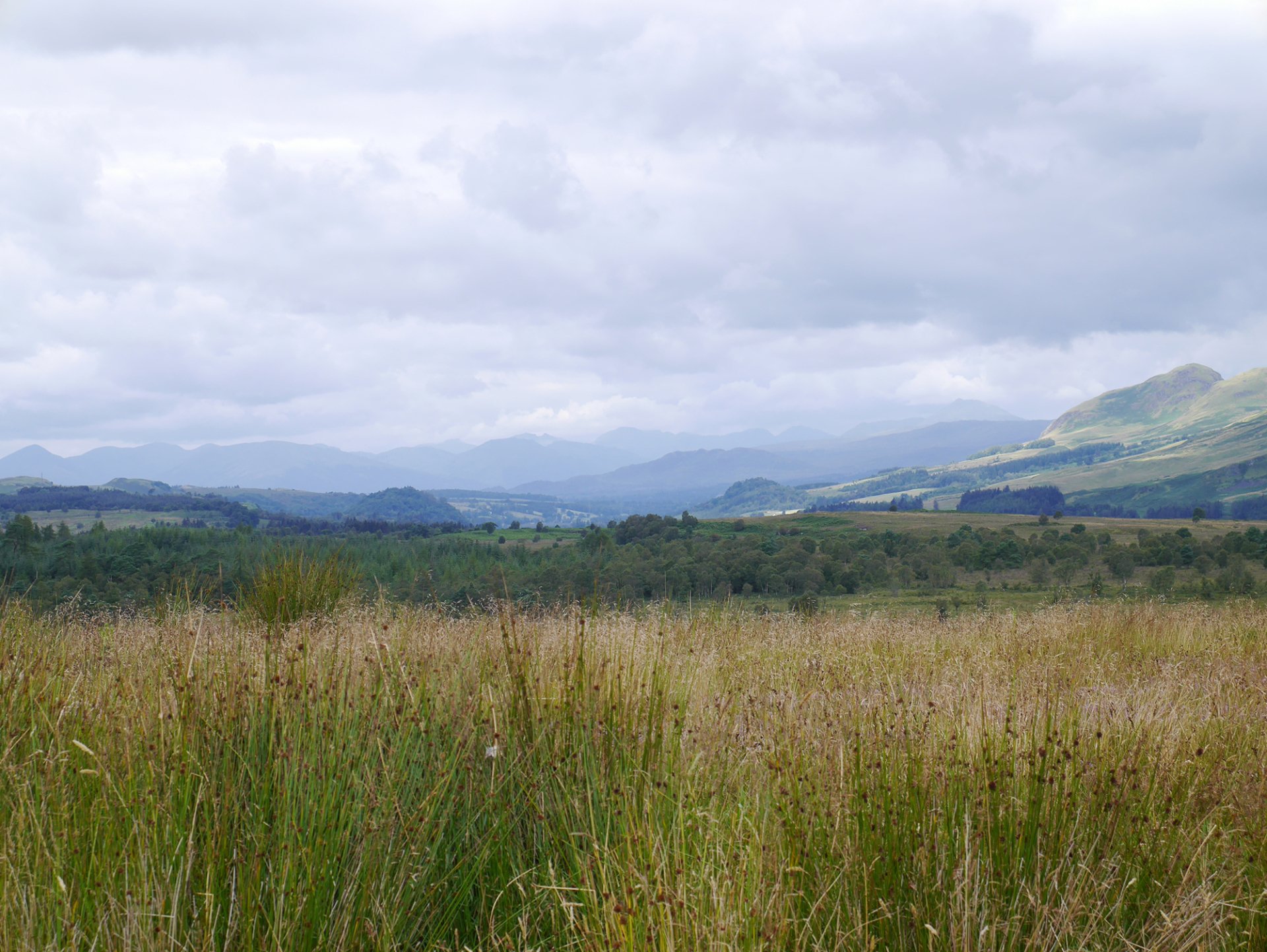 HOME Craigmaddie muir Roundhouse Milngavie, Scotland