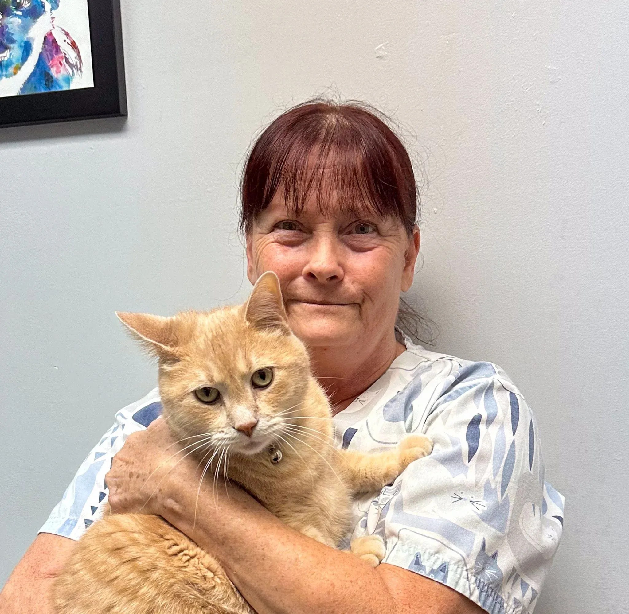 Pet Health Facility St Louis, MO