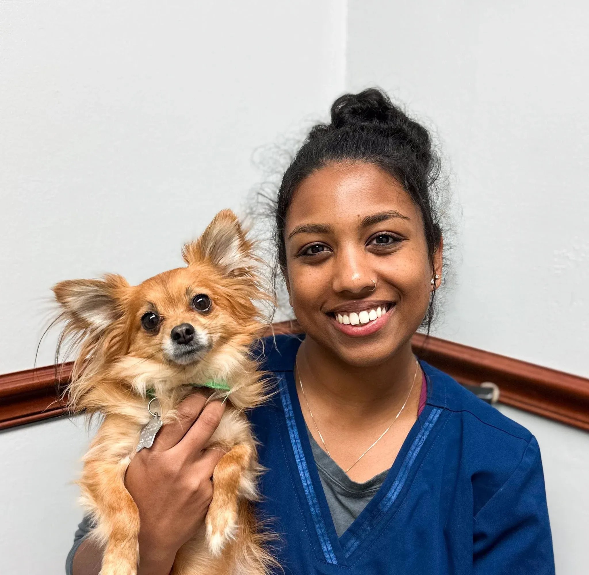 Pet Health Facility St Louis, MO