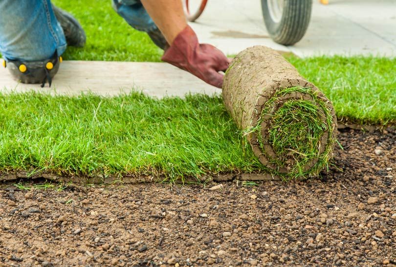 Turf Preparation in Newcastle Aussie Turf Supplies