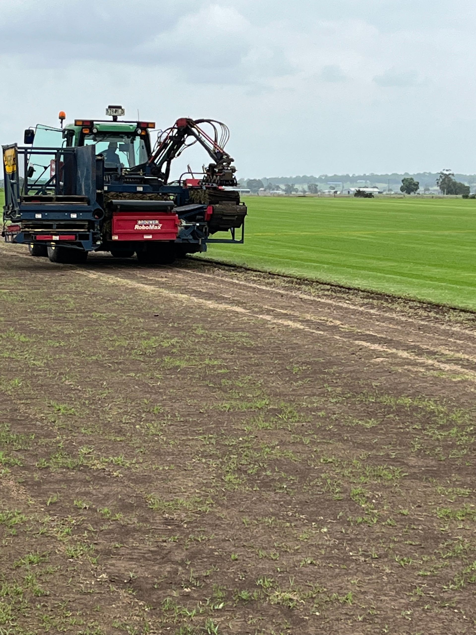 Aussie Turf Supplies Turf Supplier in Newcastle