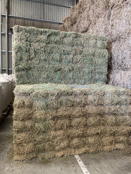 Lucerne Hay For Sale