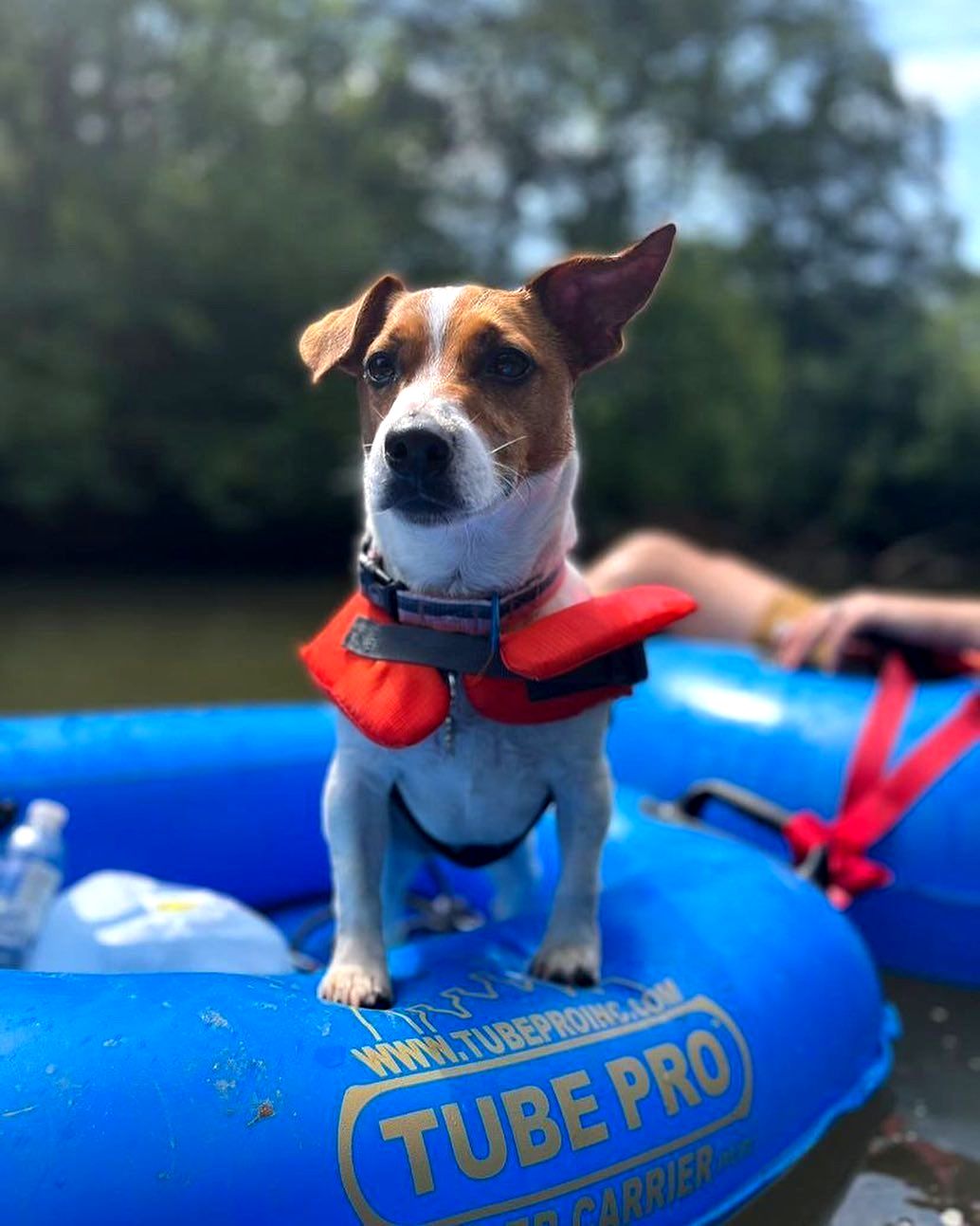 River Tubing Greenville SC Saluda Outdoor River Co.