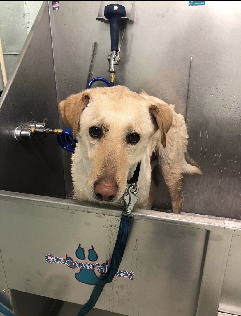 Jade at North Hills Apartments Menomonee Falls, WI