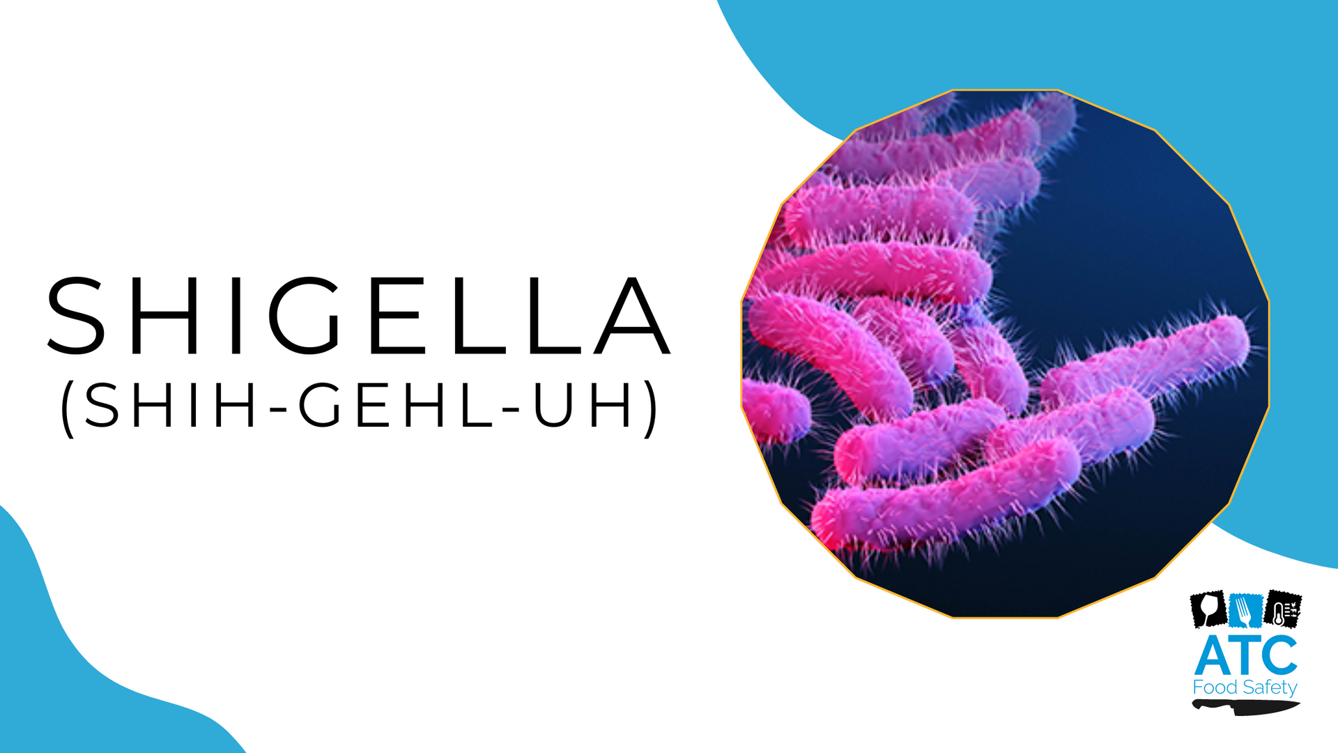 The Dangers of Food HandlerAssociated Shigella Infections