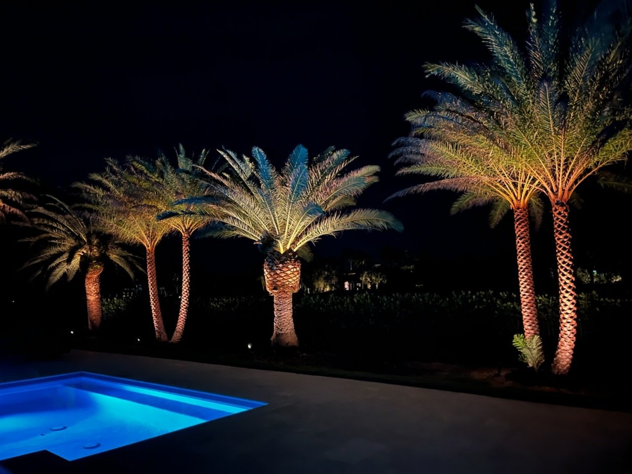 9 Types of Landscape Lighting Options To Add To Your Home