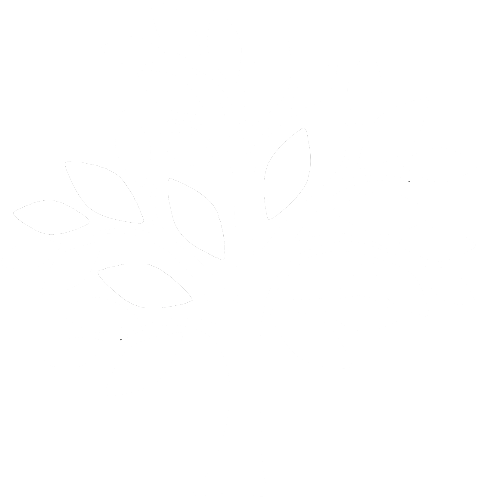 Farnam Realty Group Your Partner for Property Management Solutions