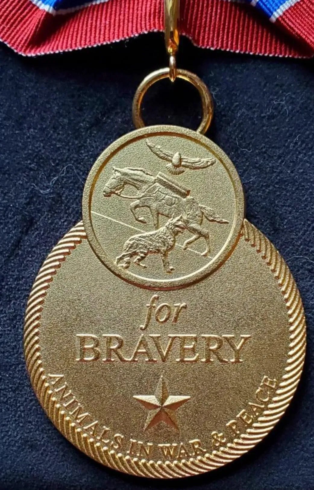 Fur Valor Medal of Bravery Spotlights the Stories of Three Incredible K9s
