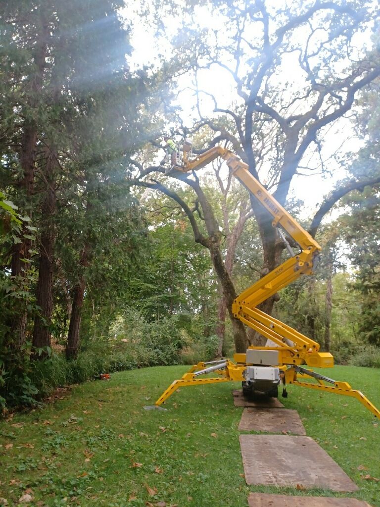 Lot Clearing Oroville, CA Tree of Life Tree Service