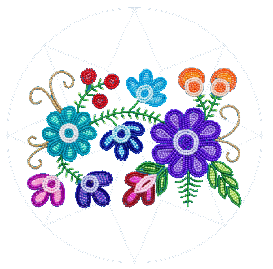 Equitable Healthcare Services Norway House Cree Nation