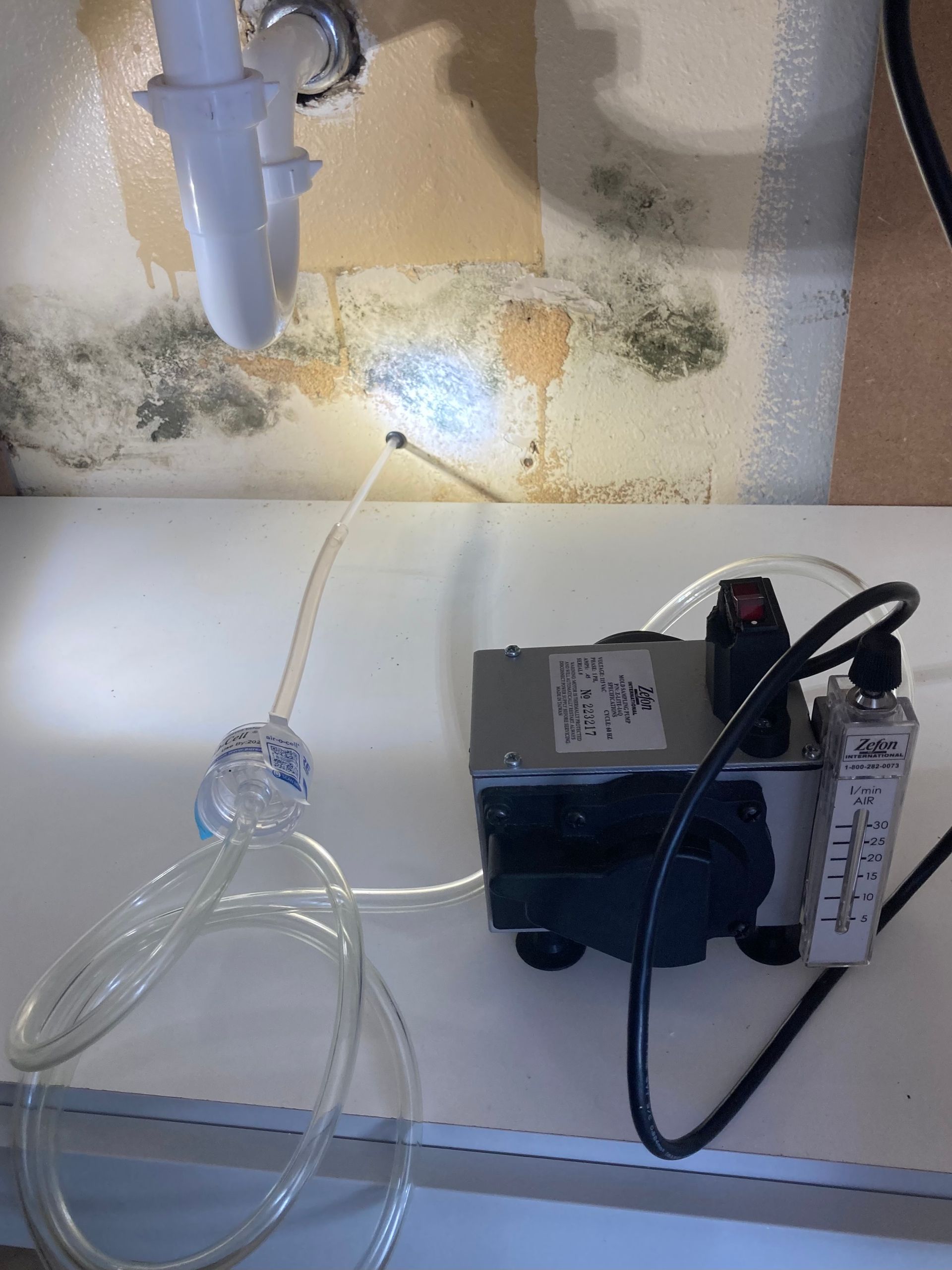 Mold Testing Fort Collins, CO Breathe Pure Solutions