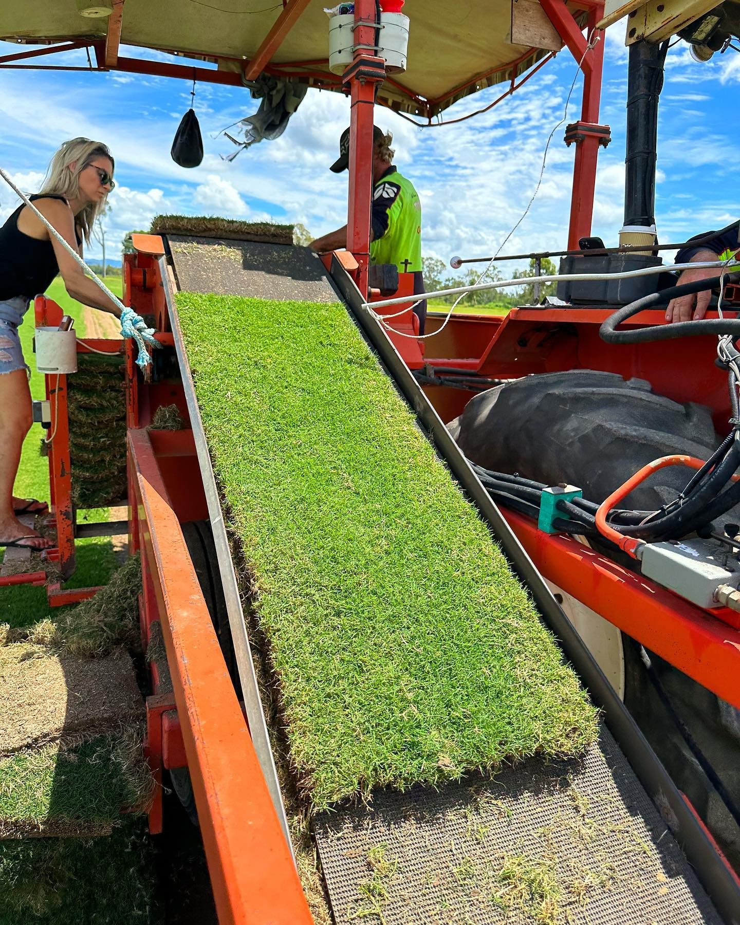 Gallery Top Notch Turf